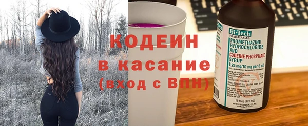 индика Алексеевка