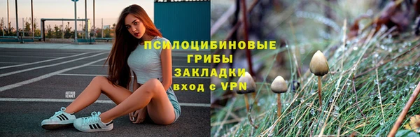 индика Алексеевка