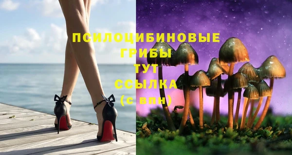 PSILOCYBIN Алексин