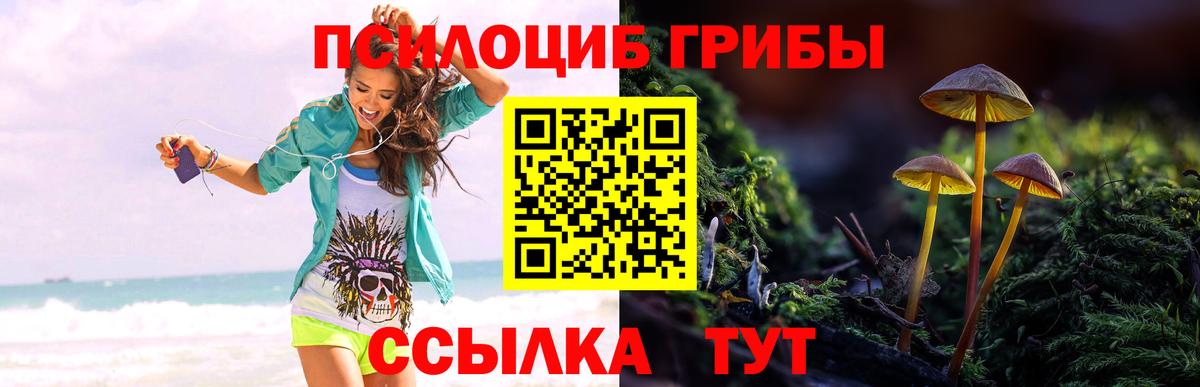 Галлюциногенные грибы Cubensis  Вход с VPN  Ленинск-Кузнецкий  Галлюциногенные грибы GOLDEN TEACHER 