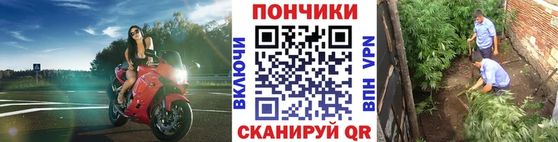 Бошки Шишки план  Ленинск-Кузнецкий 